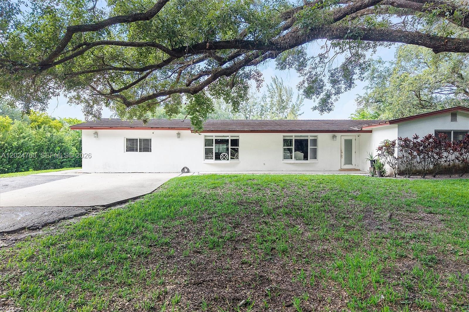 A single-story white house with a brown roof sits behind a large tree and lawn — 13821 Mustang Trl, Southwest Ranches FL 33330, SOUTHWEST RANCHES, FL