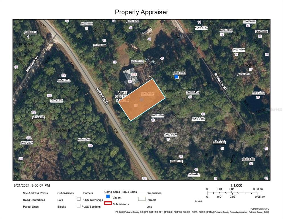 This is a property appraiser map showing a highlighted parcel in a residential subdivision — 228 LAKEWAY DRIVE, GEORGETOWN, FL