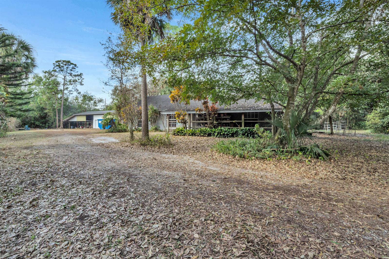 A single-story house with a screened porch sits on a large, leaf-covered lot with trees — 14181 35th Place N, FL 33470, FL