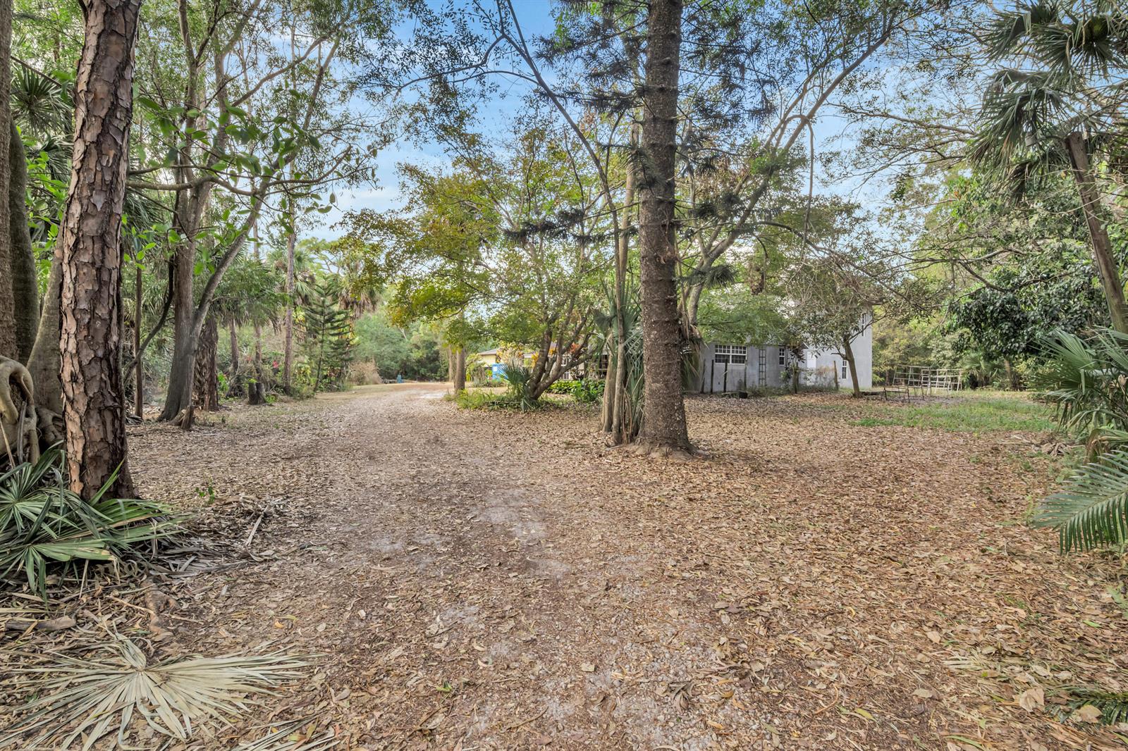 A dirt driveway leads through a wooded area toward a house in the distance — 14181 35th Place N, FL 33470, FL