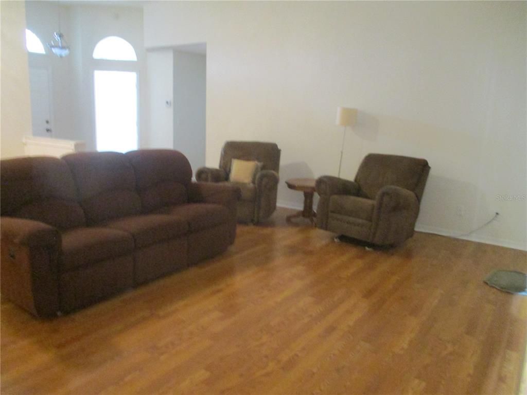 A living room features brown furniture, light-colored walls, and wood-look flooring — 209 N BROCKFIELD DRIVE, SUN CITY CENTER, FL