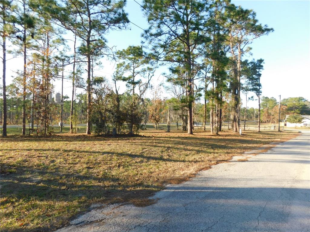 A grassy, wooded vacant lot sits adjacent to a paved road — 4932 E ELIZA COURT, INVERNESS, FL