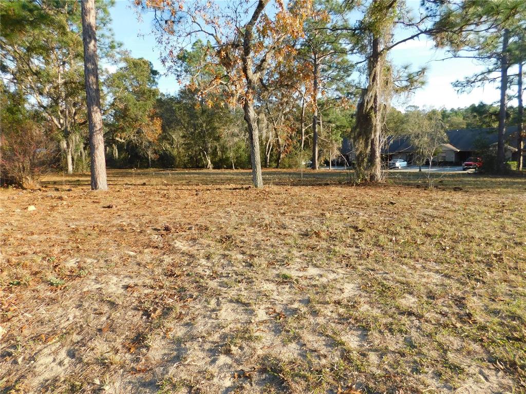 A vacant, sandy lot with scattered trees and foliage in front of a residential building — 4932 E ELIZA COURT, INVERNESS, FL