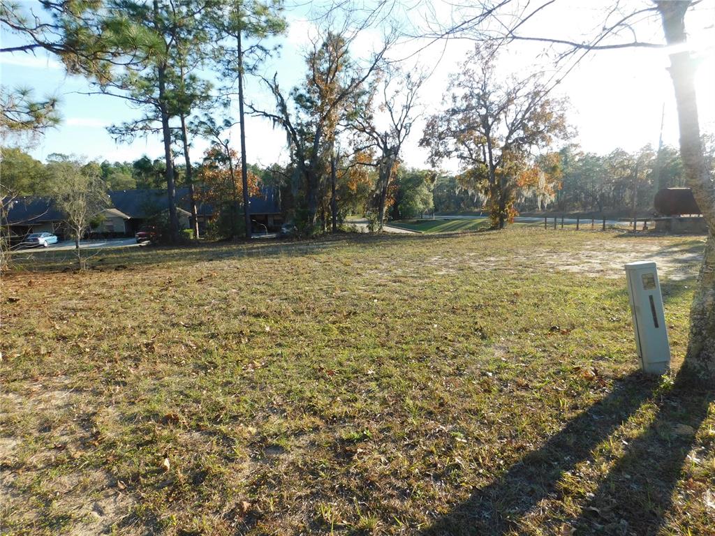 A grassy, partially wooded vacant lot with a utility pedestal in the foreground — 4932 E ELIZA COURT, INVERNESS, FL