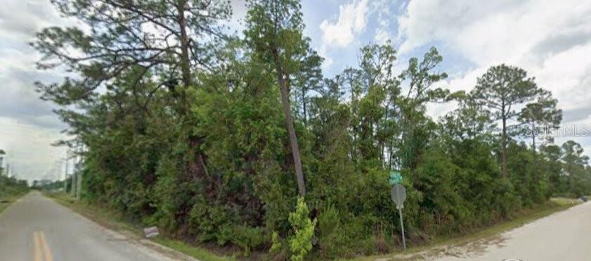 A vacant, wooded corner lot sits at the intersection of two paved roads — 10TH AVENUE, DELAND, FL