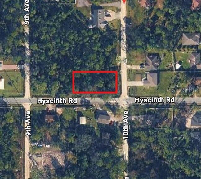 This is an aerial map view of a vacant, wooded lot outlined in red — 10TH AVENUE, DELAND, FL