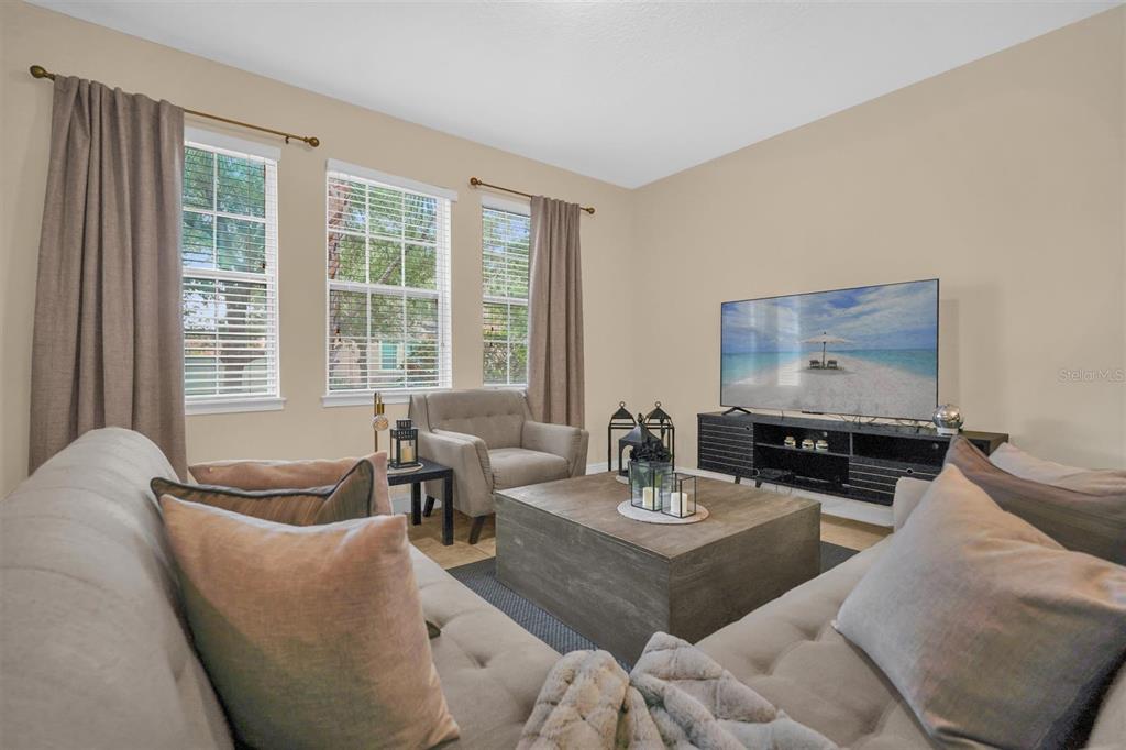 A living room features a sofa, armchair, coffee table, and a television on a console — 12353 VIA DERNA PLACE, WINDERMERE, FL