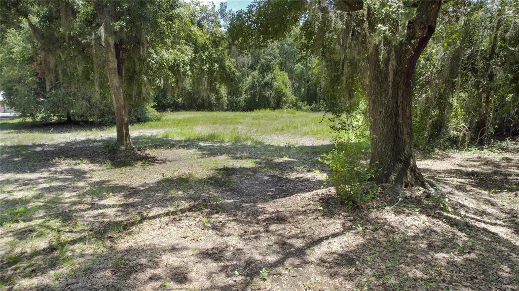 A grassy, partially shaded vacant lot is framed by large trees with hanging Spanish moss — 2951 SEMINOLE ROAD, ST CLOUD, FL