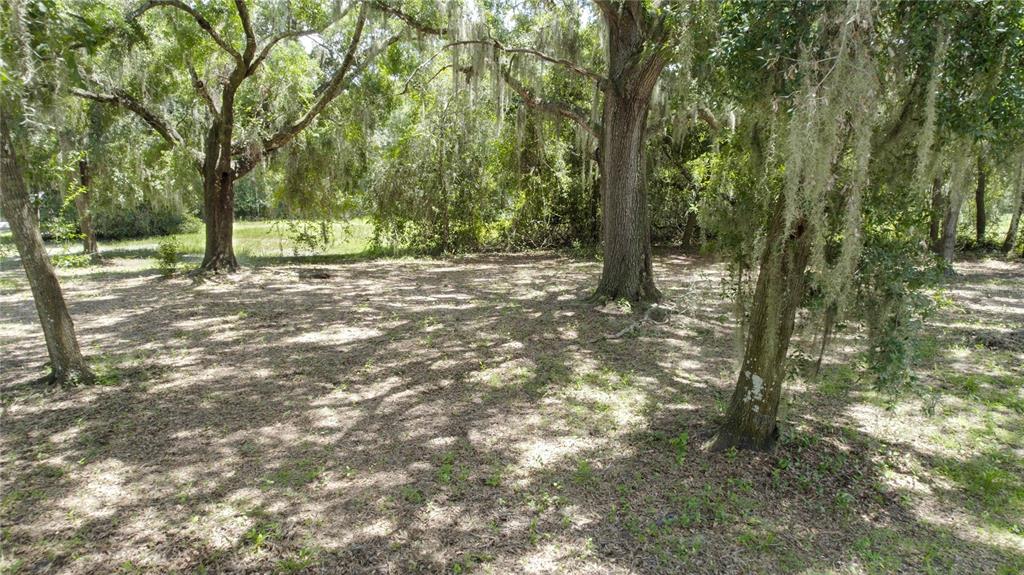 A wooded lot with large oak trees draped in Spanish moss — 2951 SEMINOLE ROAD, ST CLOUD, FL