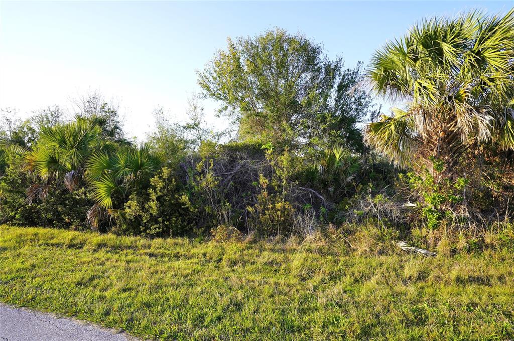 A grassy roadside area leads to a dense thicket of trees, shrubs, and palm trees — 12266 NEWGATE AVENUE, PORT CHARLOTTE, FL
