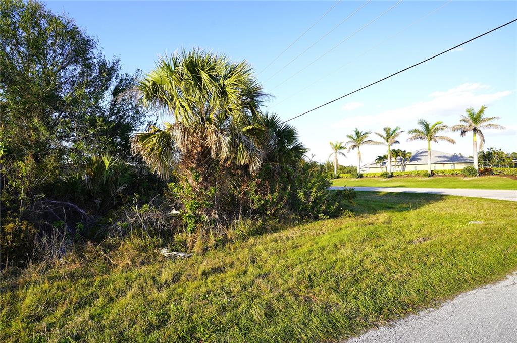 A grassy lot features a large palm tree and dense vegetation next to a paved road — 12266 NEWGATE AVENUE, PORT CHARLOTTE, FL