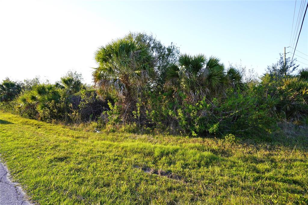 A grassy roadside area features dense green shrubs and several tall palm trees — 12266 NEWGATE AVENUE, PORT CHARLOTTE, FL