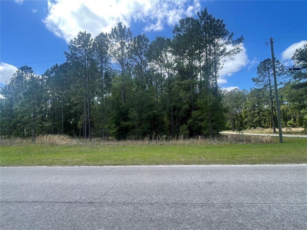 This is an aerial map showing the property lines and dimensions of a vacant lot — 200 FISHER ROAD, OCKLAWAHA, FL