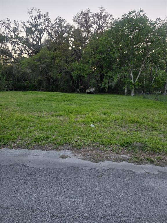 A grassy, vacant lot sits adjacent to a paved road with trees in the background — JOSEPHINE STREET, BROOKSVILLE, FL