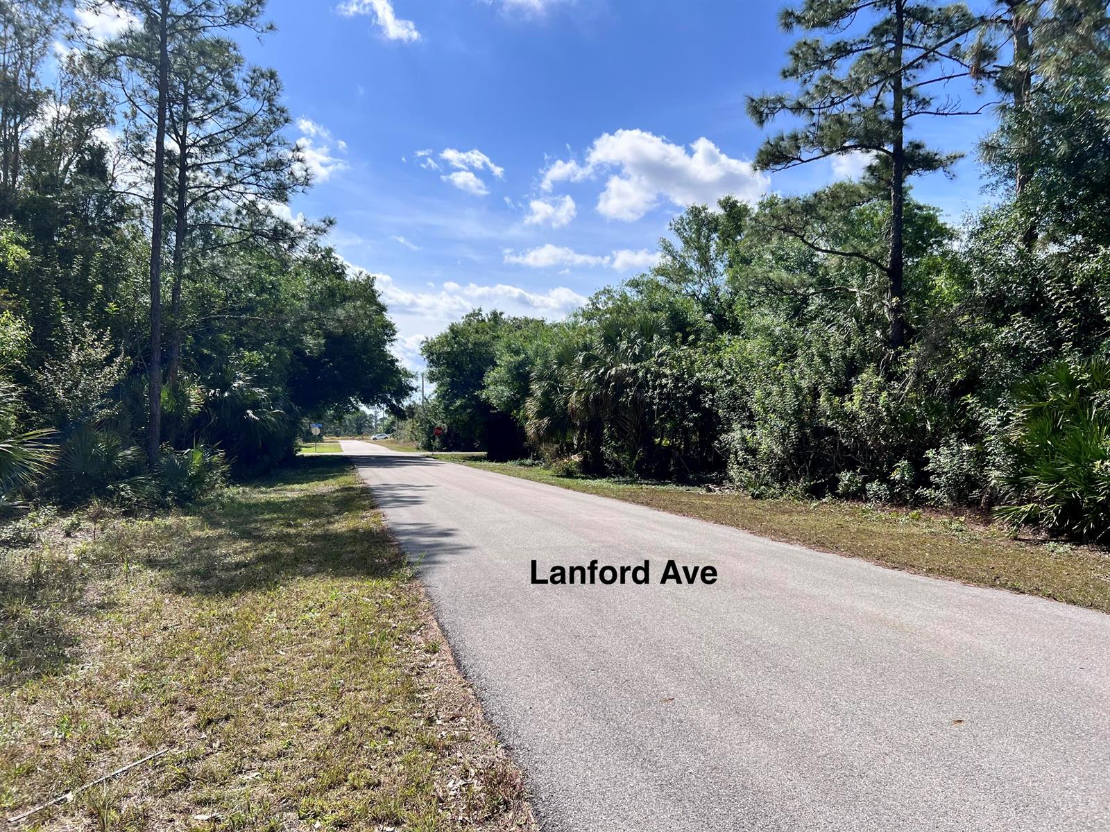 A paved road stretches into the distance, flanked by dense trees and lush green vegetation — 332 Lanford Avenue, FL 33974, FL