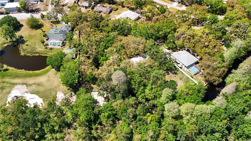 An aerial view shows several houses surrounded by dense trees and a small pond — 9240 CRESTON AVENUE, NEW PORT RICHEY, FL