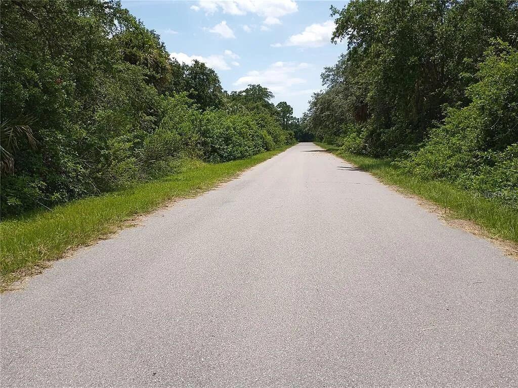 A paved road stretches into the distance, flanked by dense green trees and vegetation — 12480 HOLLOW AVENUE, PORT CHARLOTTE, FL