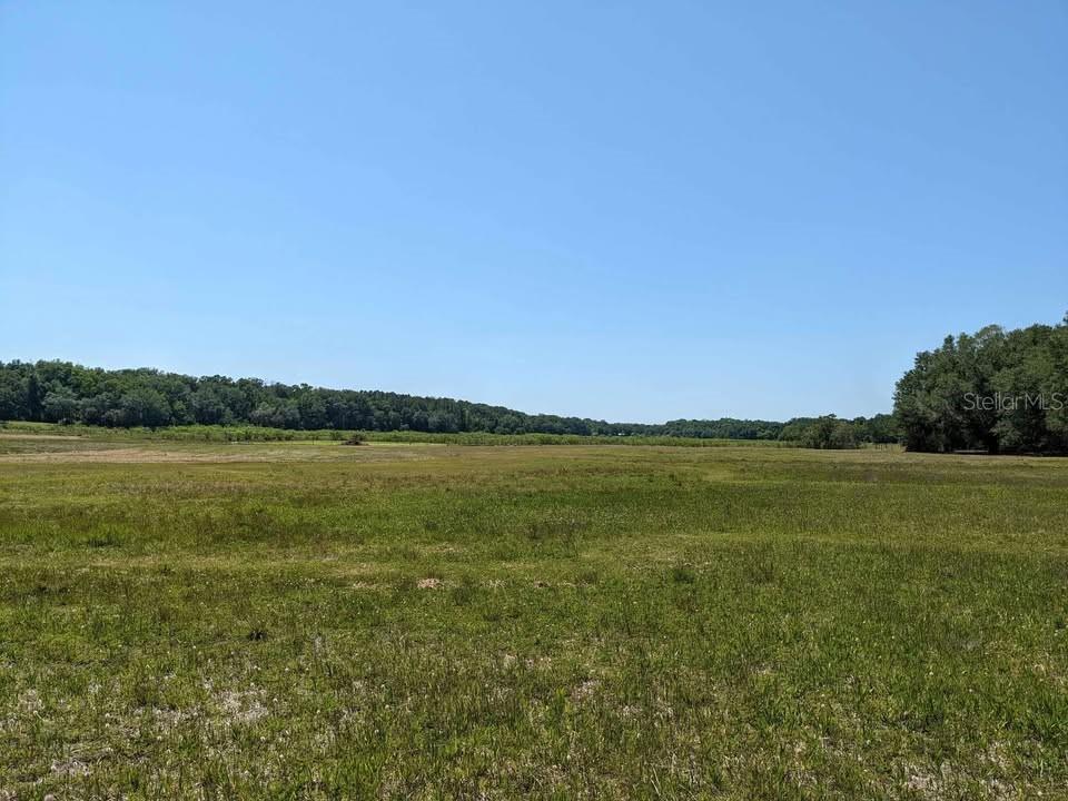 A wide, grassy field stretches toward a distant tree line under a clear blue sky — 00 NW 60TH AVENUE, CHIEFLAND, FL