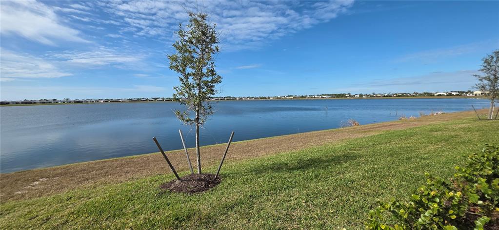 A young tree stands on a grassy lawn overlooking a large lake with distant houses — 8140 SHORE LAKE DRIVE, ENGLEWOOD, FL