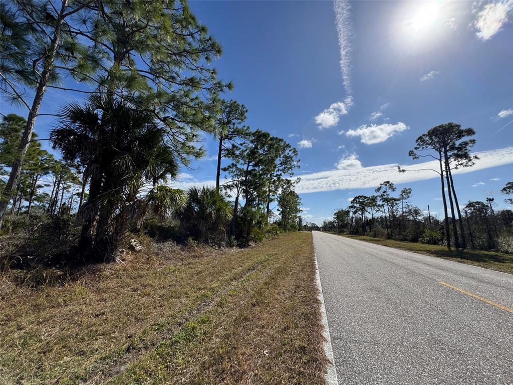 A paved road runs alongside a grassy shoulder bordered by pine trees and palmettos — 3110 GILLOT BOULEVARD, PORT CHARLOTTE, FL
