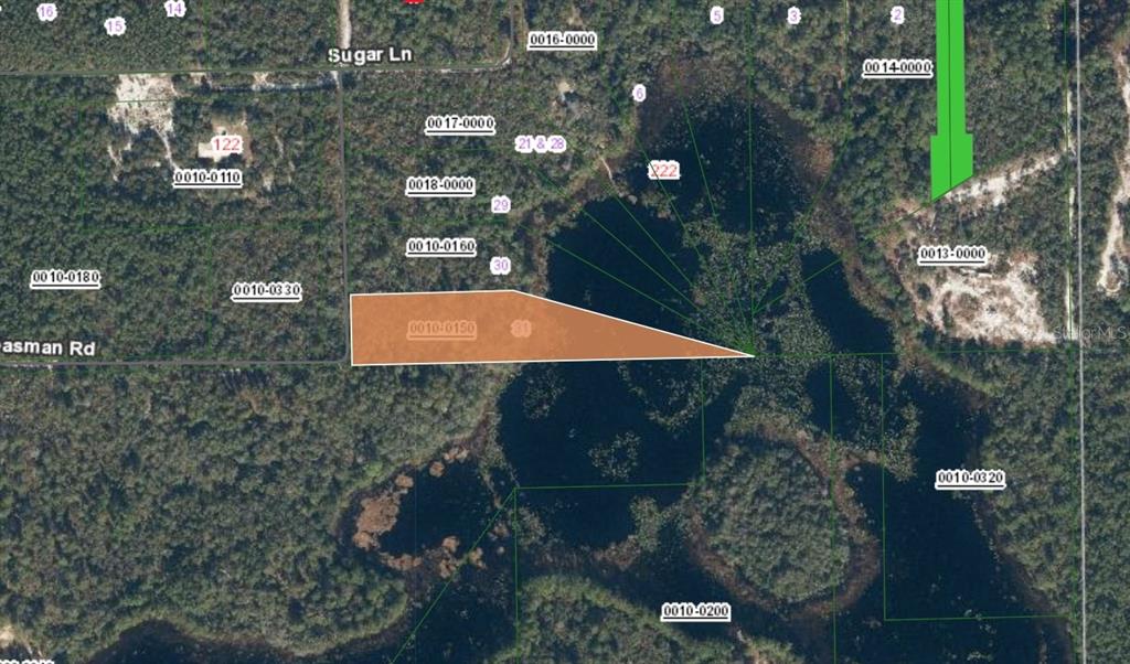 This is an aerial map showing a highlighted parcel of land near a lake — XX CREASMAN ROAD, CRESCENT CITY, FL