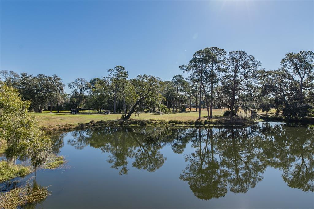 A pond reflects tall trees and a golf course under a clear blue sky — 2676 TANGLEWOOD TRAIL, PALM HARBOR, FL