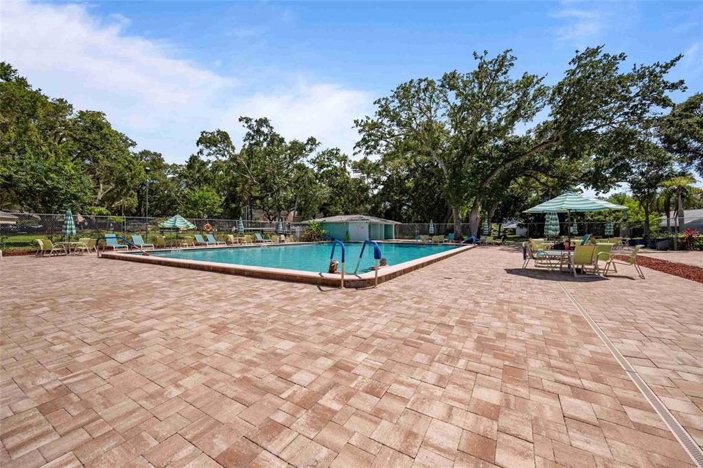 A rectangular outdoor swimming pool is surrounded by a paved deck with lounge chairs — 3350 FOX HUNT DRIVE, PALM HARBOR, FL