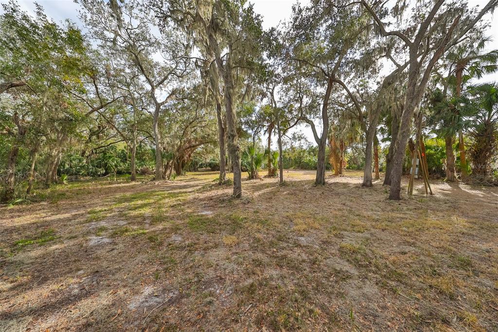 A wooded, grassy lot with mature trees draped in Spanish moss under a bright sky — 8839 RICHMOND STREET, GIBSONTON, FL