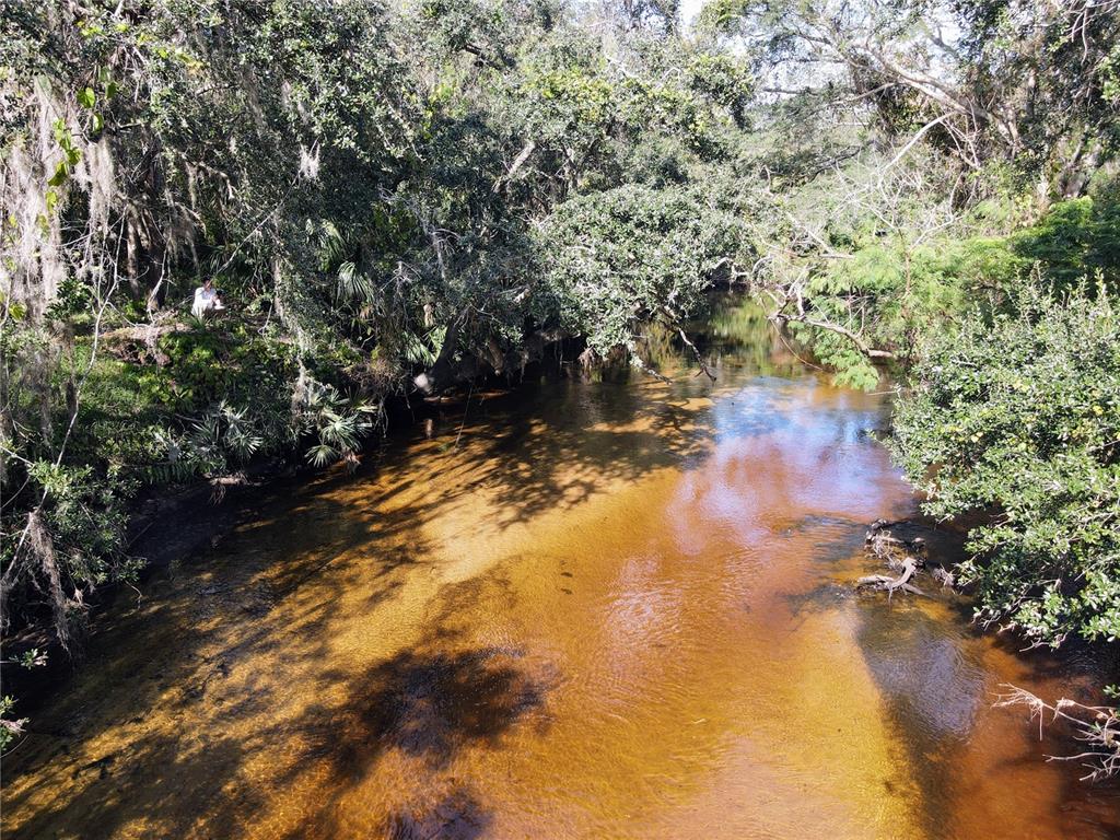 A narrow, shallow river flows through a lush, wooded area with overhanging trees and vegetation — 8839 RICHMOND STREET, GIBSONTON, FL