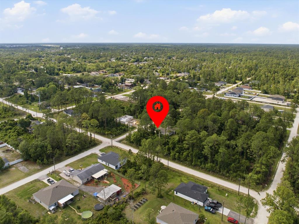 An aerial view shows a house marked by a red pin surrounded by dense trees — 1201 10TH AVENUE, DELAND, FL