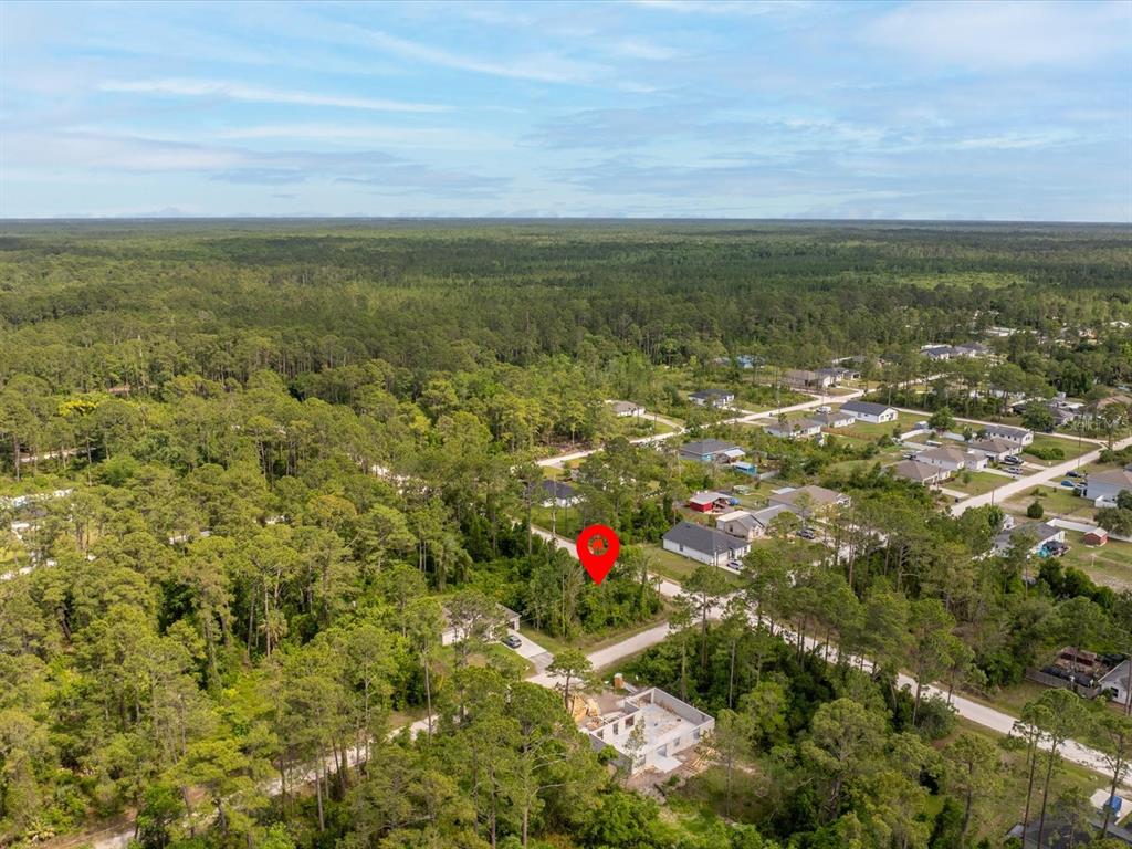 An aerial view shows a vacant wooded lot marked with a red pin near houses — 1201 10TH AVENUE, DELAND, FL