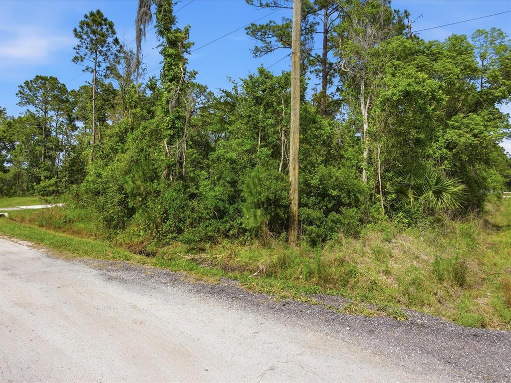 A dirt road runs alongside a densely wooded, undeveloped lot with a utility pole — 1201 10TH AVENUE, DELAND, FL