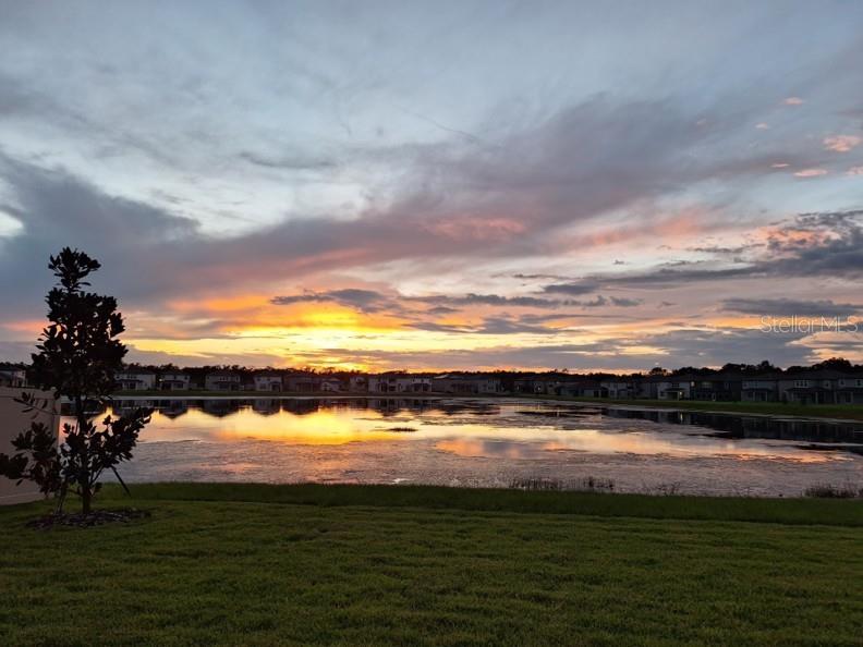 A sunset view over a lake with houses in the background and a small tree — 3091 MARINE GRASS DRIVE, WIMAUMA, FL