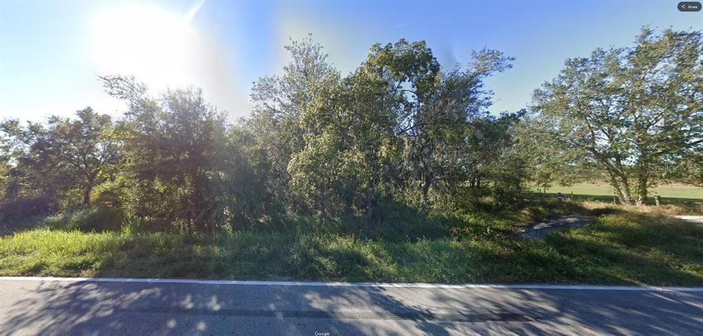 A view of a wooded, grassy lot bordering a paved road under a bright sky — GERBER DAIRY RD, WINTER HAVEN, FL