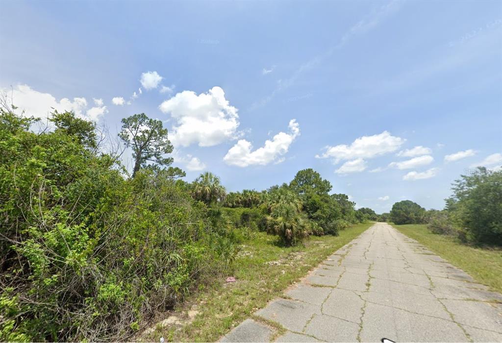 A paved road runs alongside a dense, overgrown lot with trees and shrubs under a sky — LOT 9 NORTON DRIVE, NORTH PORT, FL