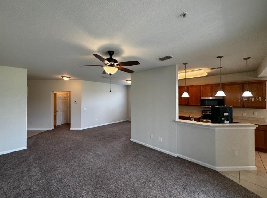 An open-concept living area features carpeted flooring, a ceiling fan, and a kitchen with wood cabinets — 4401 SW 52ND UNIT 101, OCALA, FL