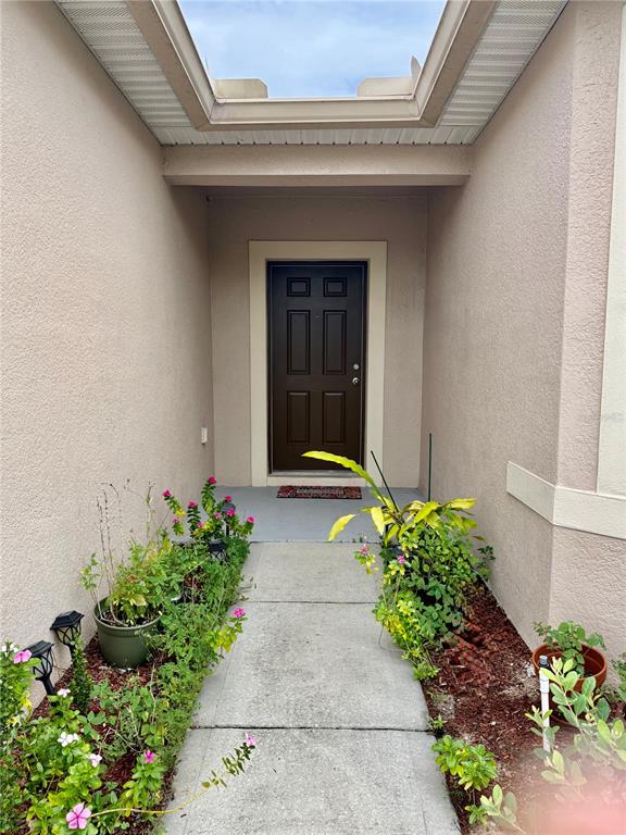A concrete walkway leads to a brown front door framed by stucco walls and plants — 196 TRACY COURT E, HAINES CITY, FL