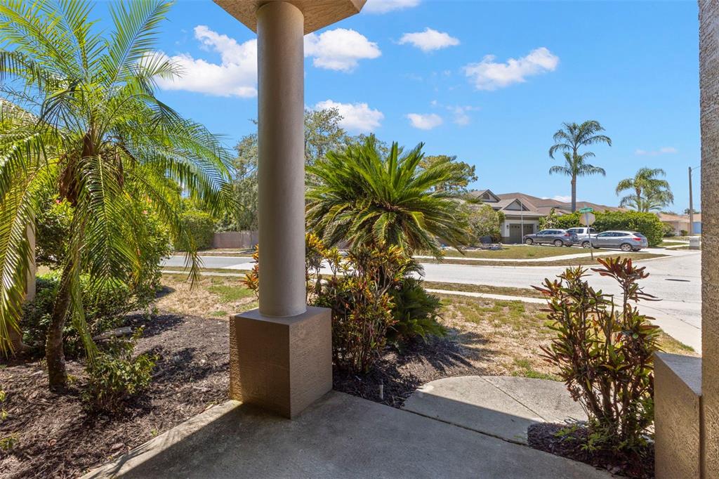A view from a covered porch looking out toward a suburban street with palm trees — 4638 ANACONDA DRIVE, NEW PORT RICHEY, FL