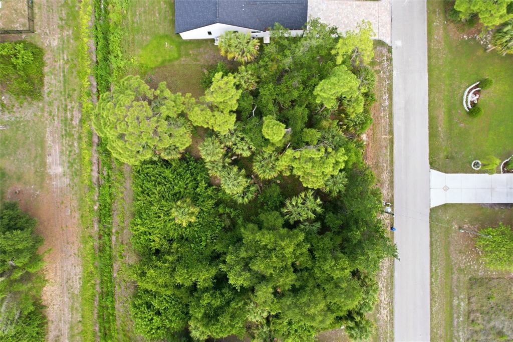 An aerial view shows a wooded residential lot with a house and paved driveway — OREGON LANE, NORTH PORT, FL