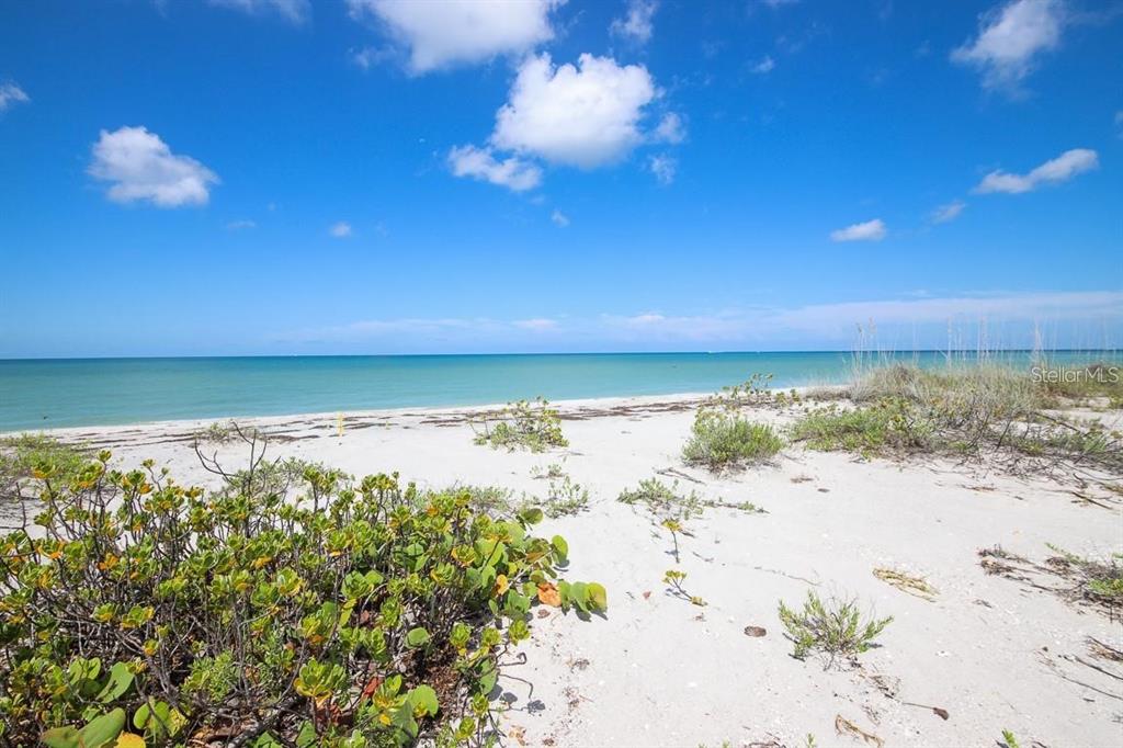 A sandy beach with low-lying green vegetation leads to the ocean under a blue sky — 500 S GULF BOULEVARD, PLACIDA, FL