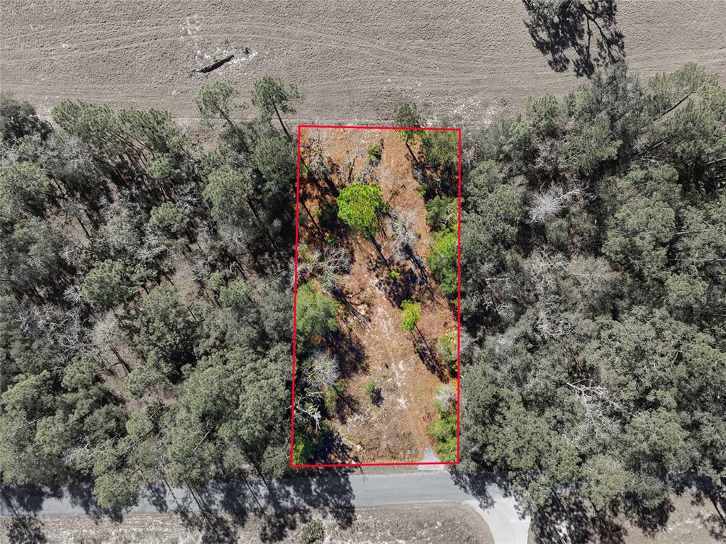 An aerial view shows a rectangular plot of land outlined in red near a road — 24456 SW TIGER LAKE BOULEVARD W, DUNNELLON, FL