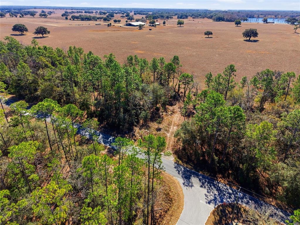An aerial view shows a paved road curving through a wooded area bordering open pasture — 24456 SW TIGER LAKE BOULEVARD W, DUNNELLON, FL