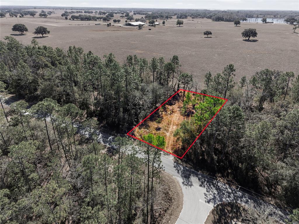 An aerial view shows a rectangular plot of land outlined in red near a road — 24456 SW TIGER LAKE BOULEVARD W, DUNNELLON, FL