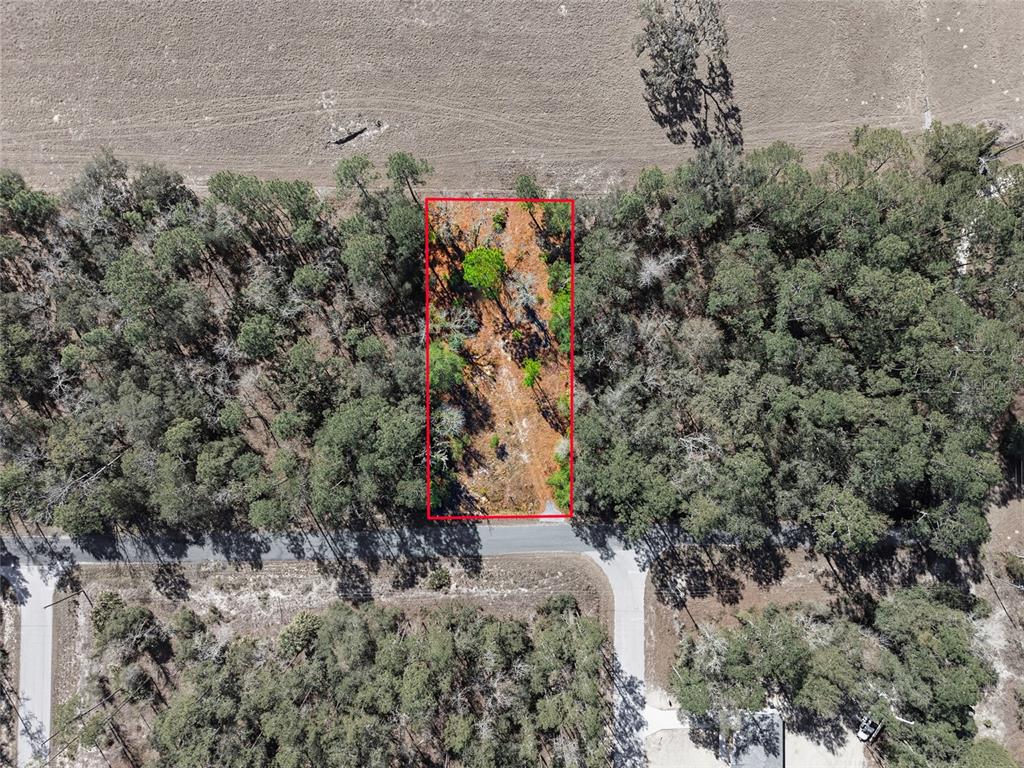 An aerial view shows a rectangular, wooded lot outlined in red along a paved road — 24456 SW TIGER LAKE BOULEVARD W, DUNNELLON, FL