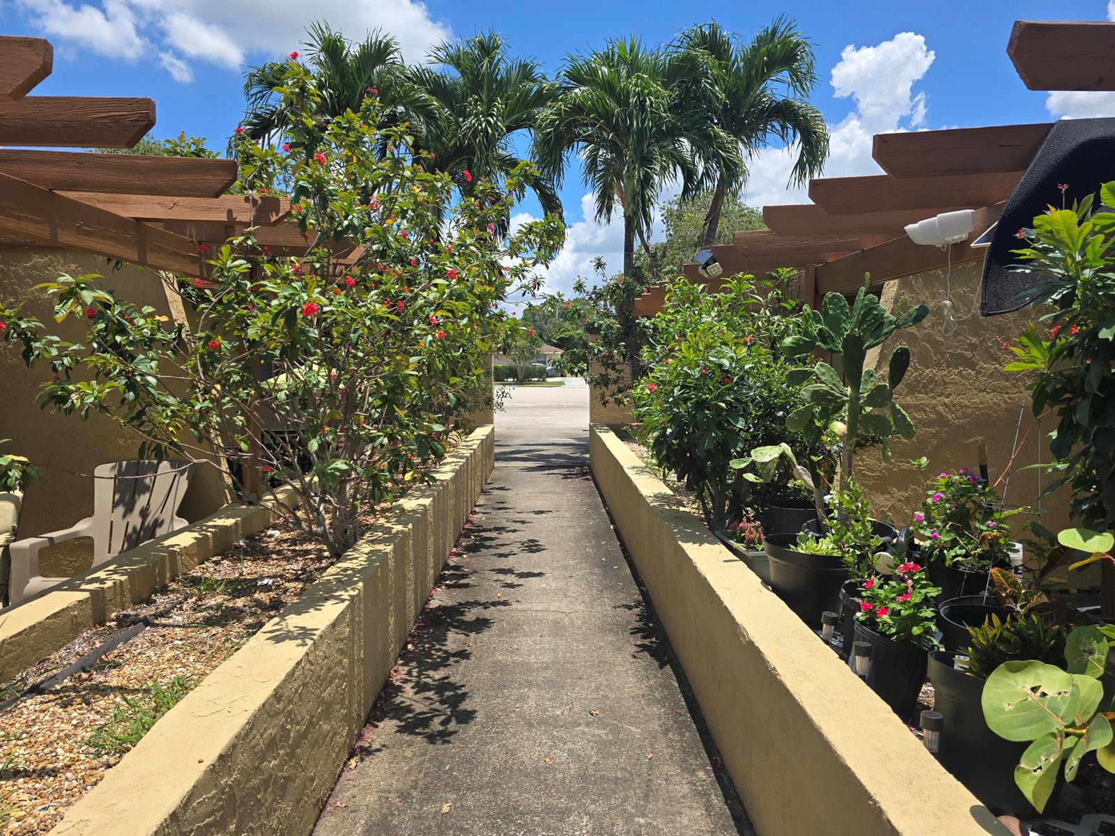 A concrete walkway leads between two low stucco walls lined with potted plants and trees — 1155 White Pine Pine # 1155, Wellington FL 33414, WELLINGTON, FL