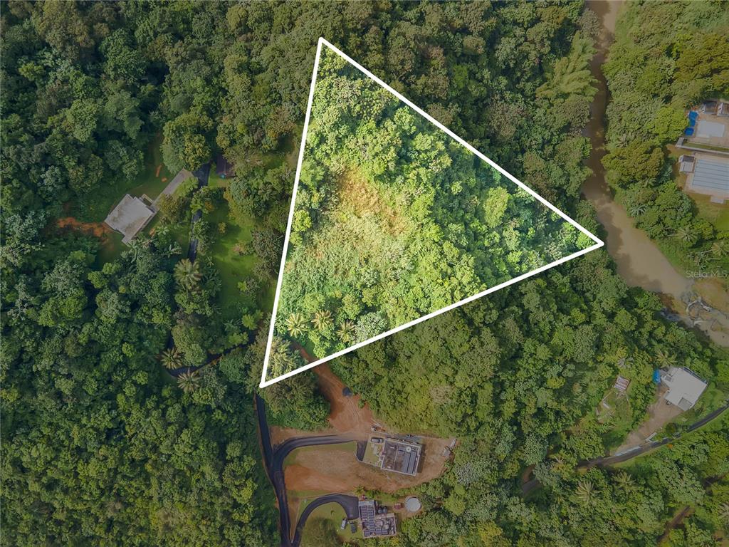 An aerial view shows a triangular plot of land surrounded by dense forest and nearby houses — BO. MULAS CARR. 174 KM. HM 19.6 INT. UNIT SOLAR 1, AGUAS BUENAS, PR