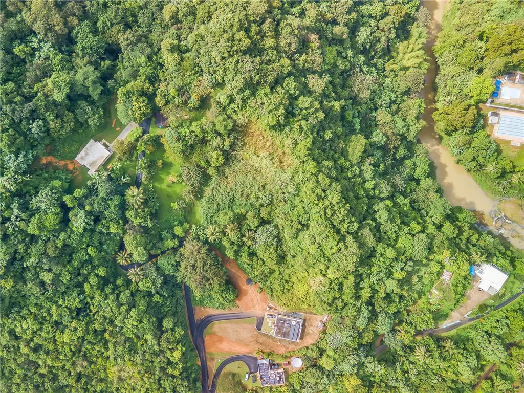 An aerial view shows several houses nestled within a dense, green forest near a river — BO. MULAS CARR. 174 KM. HM 19.6 INT. UNIT SOLAR 1, AGUAS BUENAS, PR