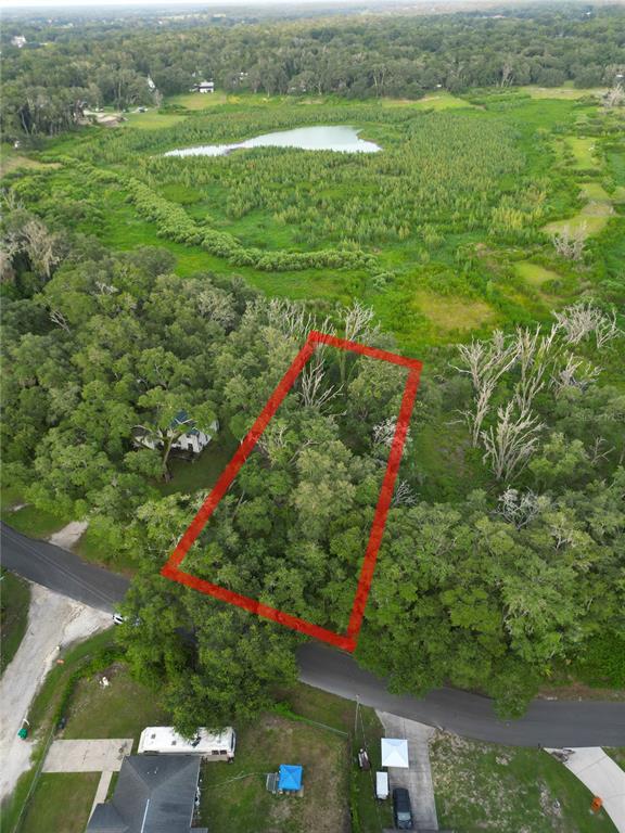 An aerial view shows a rectangular wooded lot outlined in red near a small pond — 3352 E LAKE NINA DRIVE, INVERNESS, FL