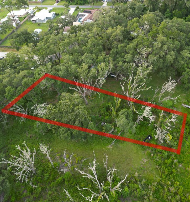 An aerial view shows a rectangular plot of land outlined in red amidst wooded surroundings — 3352 E LAKE NINA DRIVE, INVERNESS, FL