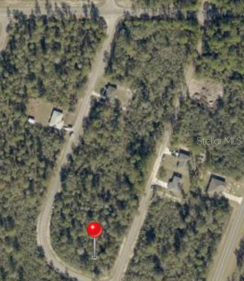 This is an aerial map view of a wooded residential lot marked with a pin — FISHER WAY TRACK, OCKLAWAHA, FL